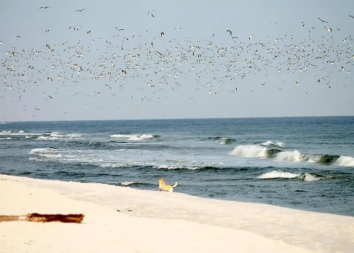 Apartamento 54° Nord 3